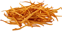 Cordyceps Mushroom