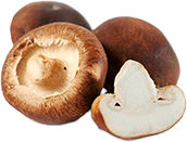 Shiitake Mushroom